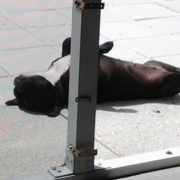 Meet your Posher, Karin - Picture 4 of 4